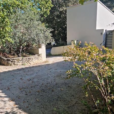 Nouveaute Studio Sur Les Hauteurs. Robion en Luberon Exterior photo